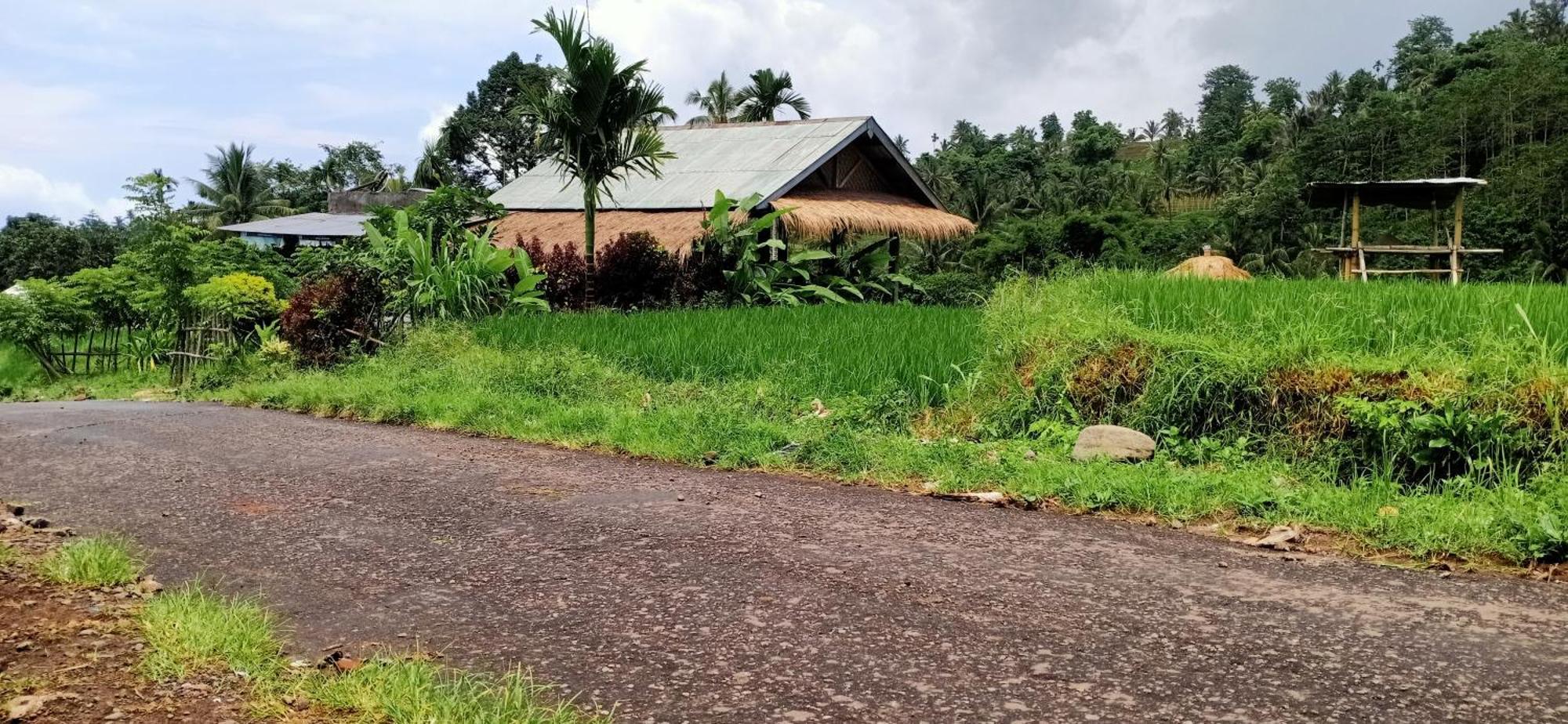 Bayan Exotic Homestay Senaru Exterior foto