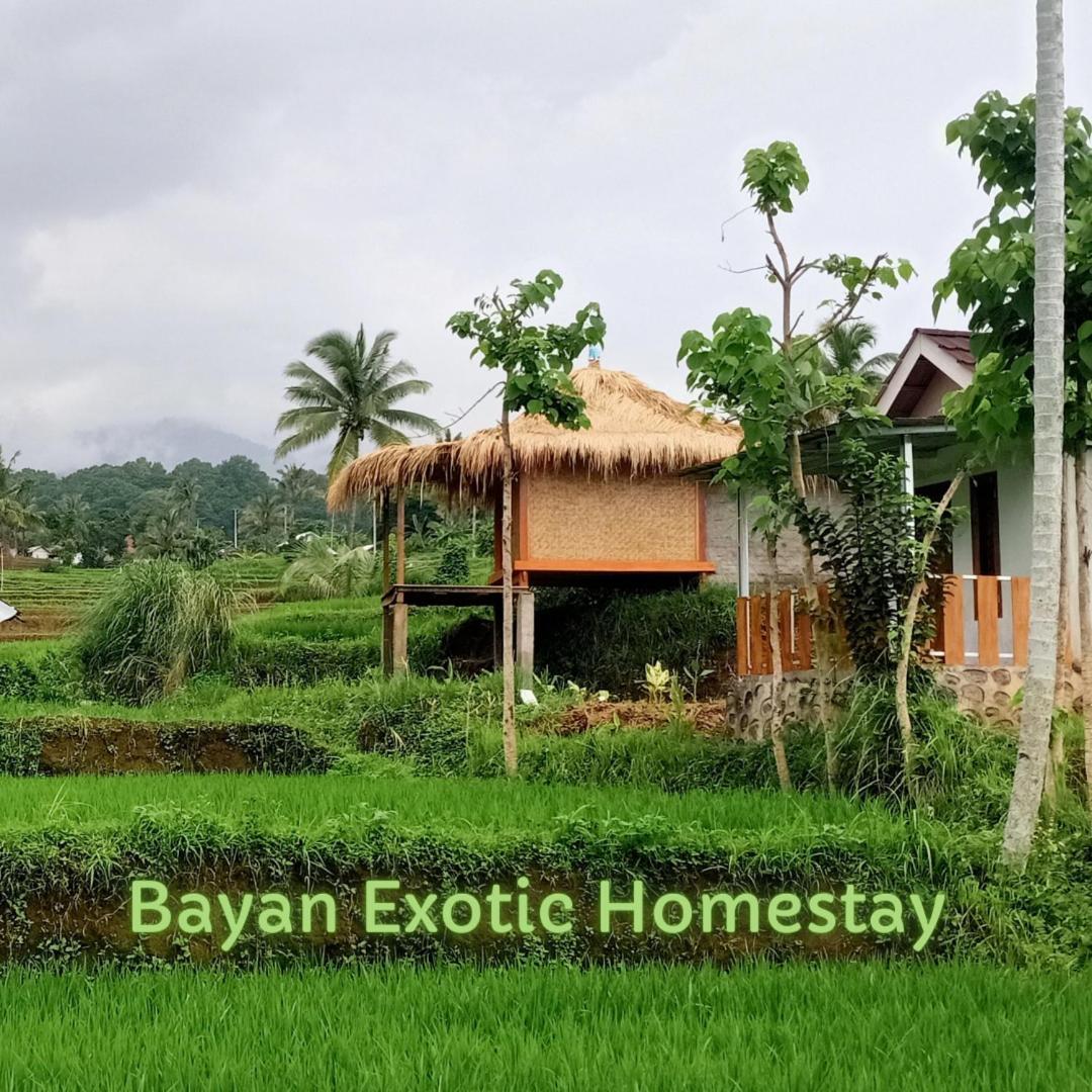 Bayan Exotic Homestay Senaru Exterior foto